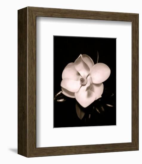 Magnolia-Sara Liu-Framed Art Print