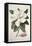 Magnolia-Georg Dionysius Ehret-Framed Premier Image Canvas