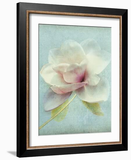 Magnolia-Amy Melious-Framed Art Print