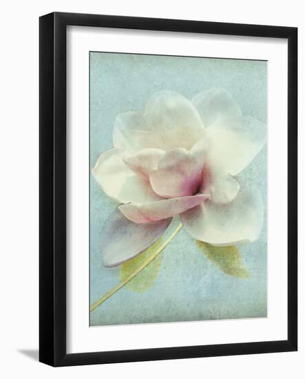 Magnolia-Amy Melious-Framed Art Print