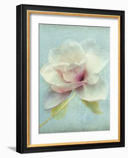 Magnolia-Amy Melious-Framed Art Print