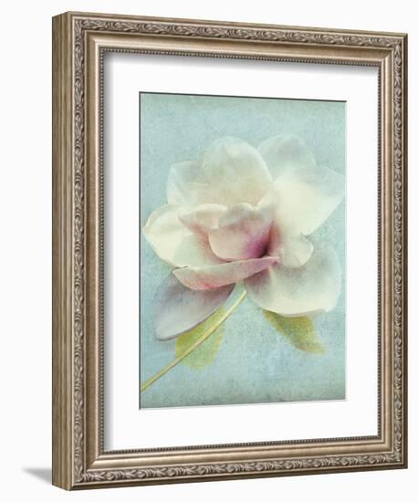 Magnolia-Amy Melious-Framed Art Print