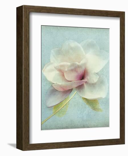 Magnolia-Amy Melious-Framed Art Print