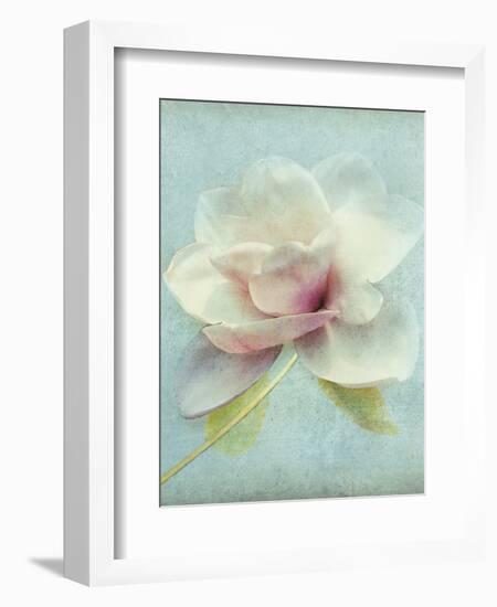 Magnolia-Amy Melious-Framed Art Print