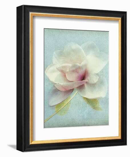 Magnolia-Amy Melious-Framed Art Print
