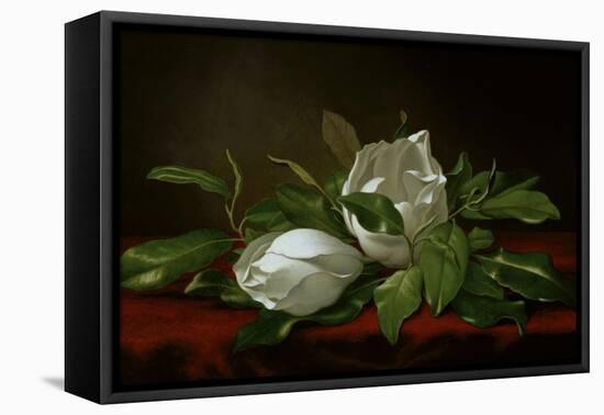 Magnolia-Martin Johnson Heade-Framed Premier Image Canvas