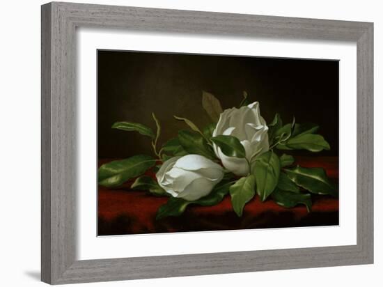 Magnolia-Martin Johnson Heade-Framed Giclee Print