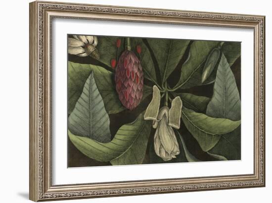 Magnolia-null-Framed Giclee Print