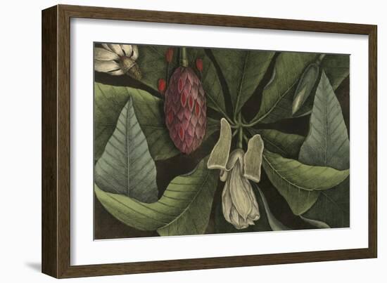 Magnolia-null-Framed Giclee Print