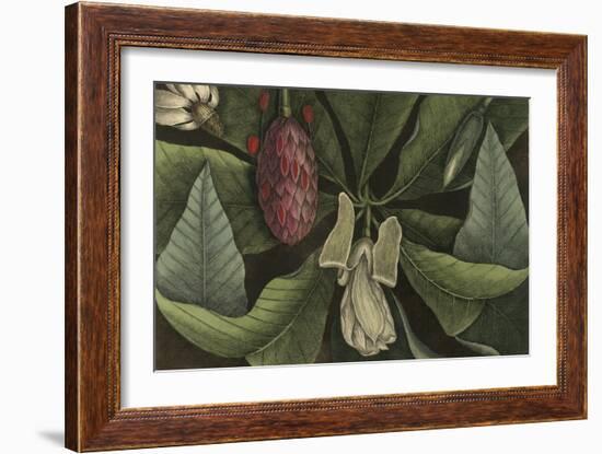 Magnolia-null-Framed Giclee Print