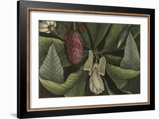 Magnolia-null-Framed Giclee Print