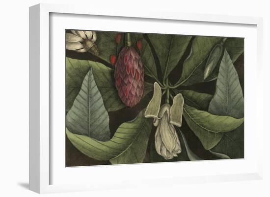 Magnolia-null-Framed Giclee Print