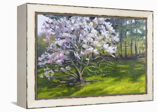 Magnolia-Rusty Frentner-Framed Premier Image Canvas