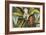 Magnolia-Mark Catesby-Framed Giclee Print