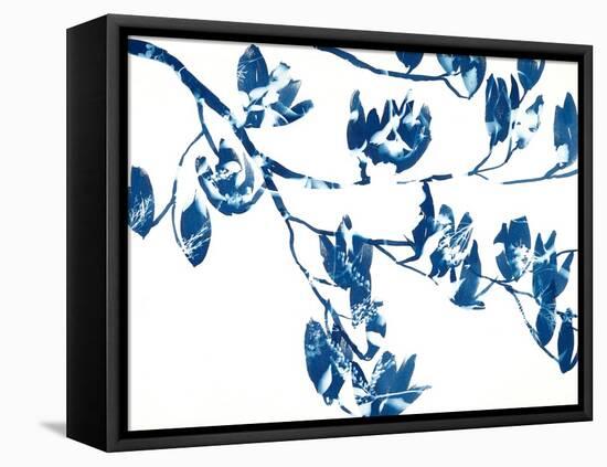 Magnolia-Cynthia MacCollum-Framed Stretched Canvas