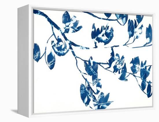 Magnolia-Cynthia MacCollum-Framed Stretched Canvas