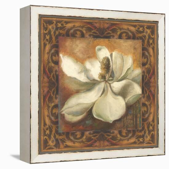 Magnolia-Patricia Pinto-Framed Stretched Canvas