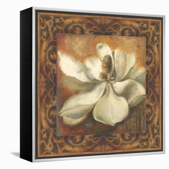 Magnolia-Patricia Pinto-Framed Stretched Canvas