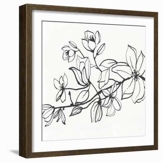 Magnolia-Susan Jill-Framed Art Print