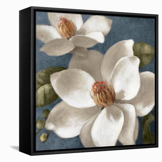 Magnolias on Blue I-Lanie Loreth-Framed Stretched Canvas