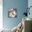 Magnolias on Blue I-Lanie Loreth-Framed Stretched Canvas displayed on a wall