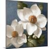 Magnolias on Blue II-Lanie Loreth-Mounted Art Print