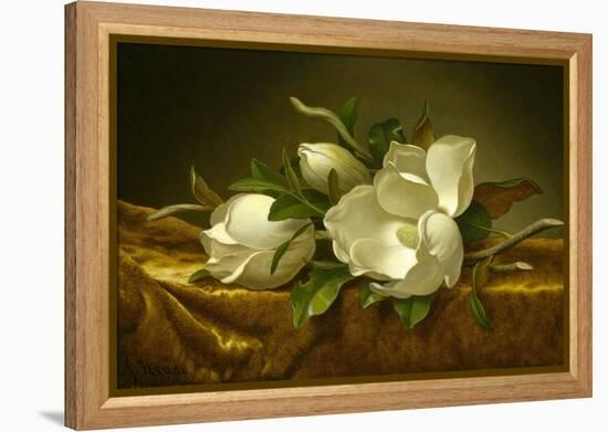 Magnolias on Gold Velvet Cloth, C. 1889-Martin Johnson Heade-Framed Premier Image Canvas