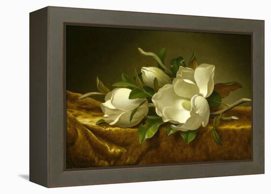 Magnolias on Gold Velvet Cloth, C. 1889-Martin Johnson Heade-Framed Premier Image Canvas