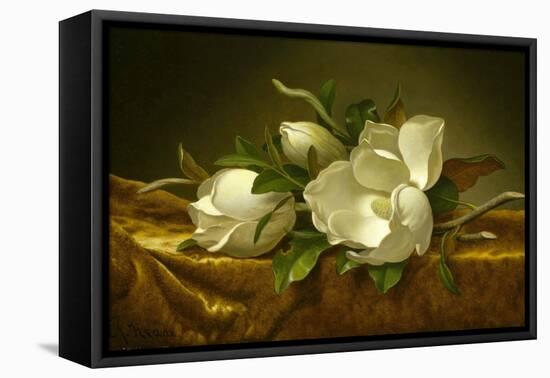 Magnolias on Gold Velvet Cloth, C. 1889-Martin Johnson Heade-Framed Premier Image Canvas