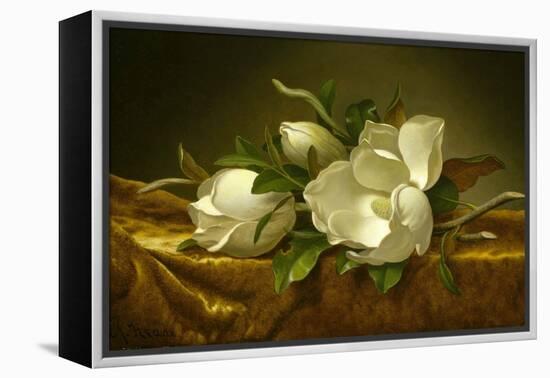 Magnolias on Gold Velvet Cloth, C. 1889-Martin Johnson Heade-Framed Premier Image Canvas