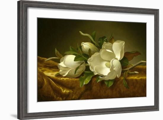 Magnolias on Gold Velvet Cloth, C. 1889-Martin Johnson Heade-Framed Giclee Print