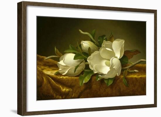 Magnolias on Gold Velvet Cloth, C. 1889-Martin Johnson Heade-Framed Giclee Print