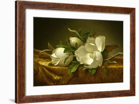 Magnolias on Gold Velvet Cloth, C. 1889-Martin Johnson Heade-Framed Giclee Print