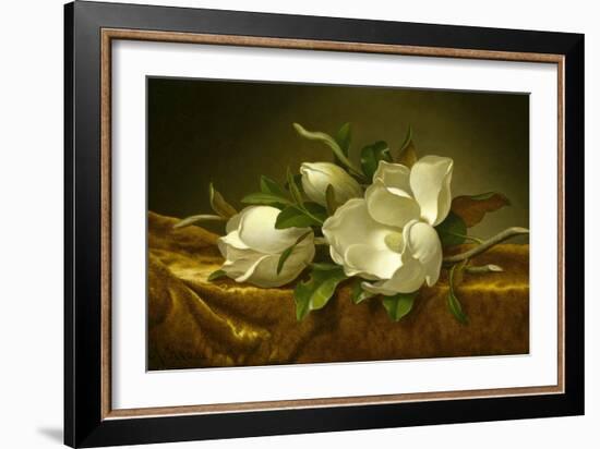 Magnolias on Gold Velvet Cloth, C. 1889-Martin Johnson Heade-Framed Giclee Print