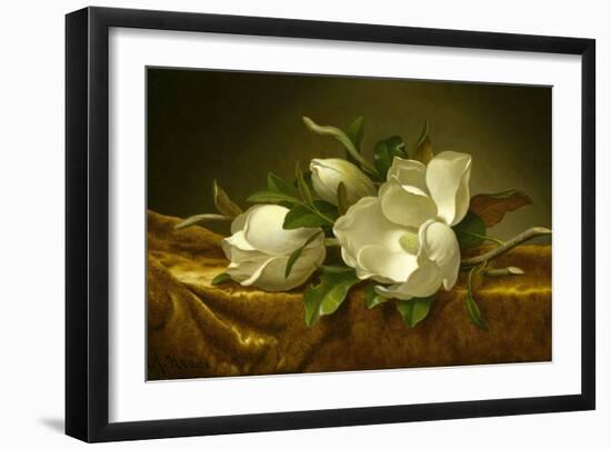 Magnolias on Gold Velvet Cloth, C. 1889-Martin Johnson Heade-Framed Giclee Print