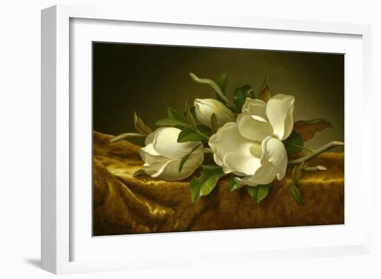 Magnolias on Gold Velvet Cloth, C. 1889-Martin Johnson Heade-Framed Giclee Print