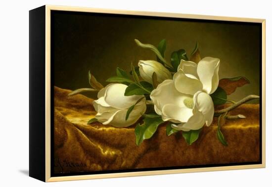 Magnolias on Gold Velvet Cloth-Martin Johnson Heade-Framed Premier Image Canvas