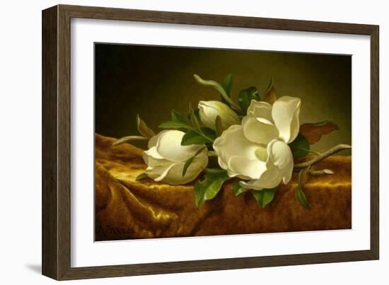 Magnolias on Gold Velvet Cloth-Martin Johnson Heade-Framed Giclee Print