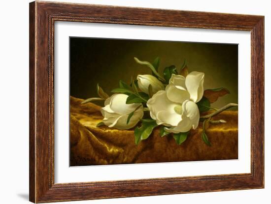 Magnolias on Gold Velvet Cloth-Martin Johnson Heade-Framed Giclee Print