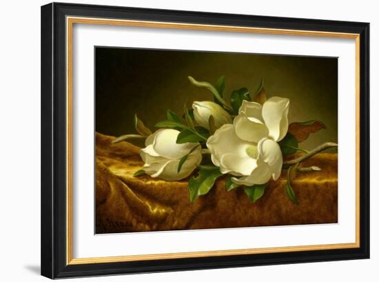 Magnolias on Gold Velvet Cloth-Martin Johnson Heade-Framed Giclee Print