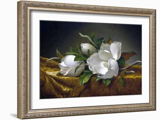 Magnolias on Gold Velvet Cloth-Martin Johnson Heade-Framed Giclee Print