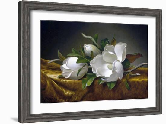 Magnolias on Gold Velvet Cloth-Martin Johnson Heade-Framed Giclee Print