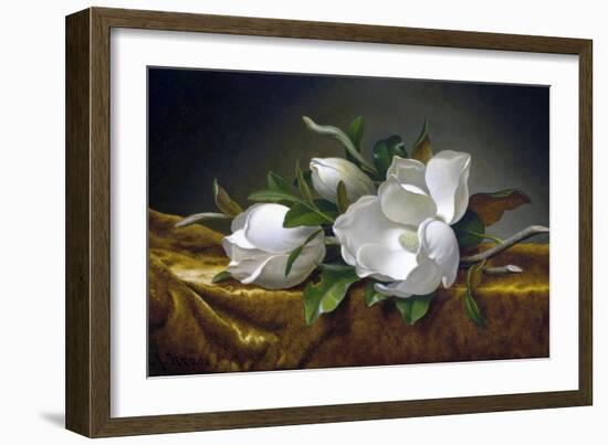 Magnolias on Gold Velvet Cloth-Martin Johnson Heade-Framed Giclee Print