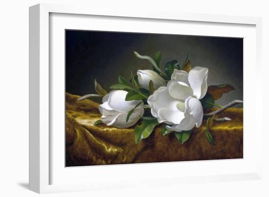 Magnolias on Gold Velvet Cloth-Martin Johnson Heade-Framed Giclee Print