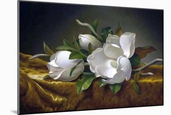 Magnolias on Gold Velvet Cloth-Martin Johnson Heade-Mounted Giclee Print