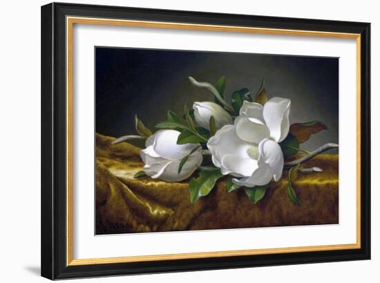 Magnolias on Gold Velvet Cloth-Martin Johnson Heade-Framed Giclee Print