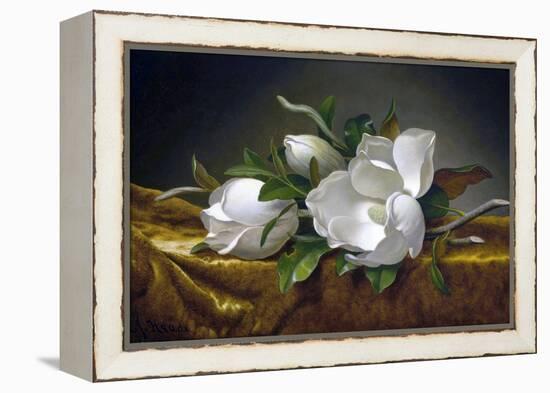 Magnolias on Gold Velvet Cloth-Martin Johnson Heade-Framed Premier Image Canvas