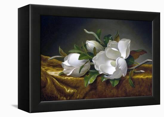 Magnolias on Gold Velvet Cloth-Martin Johnson Heade-Framed Premier Image Canvas