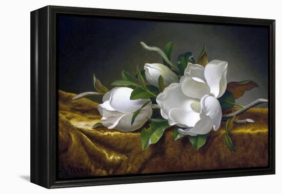 Magnolias on Gold Velvet Cloth-Martin Johnson Heade-Framed Premier Image Canvas