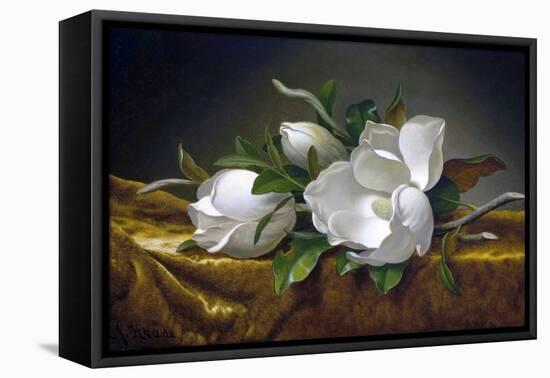 Magnolias on Gold Velvet Cloth-Martin Johnson Heade-Framed Premier Image Canvas